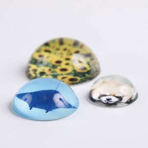 ペーパーウェイト