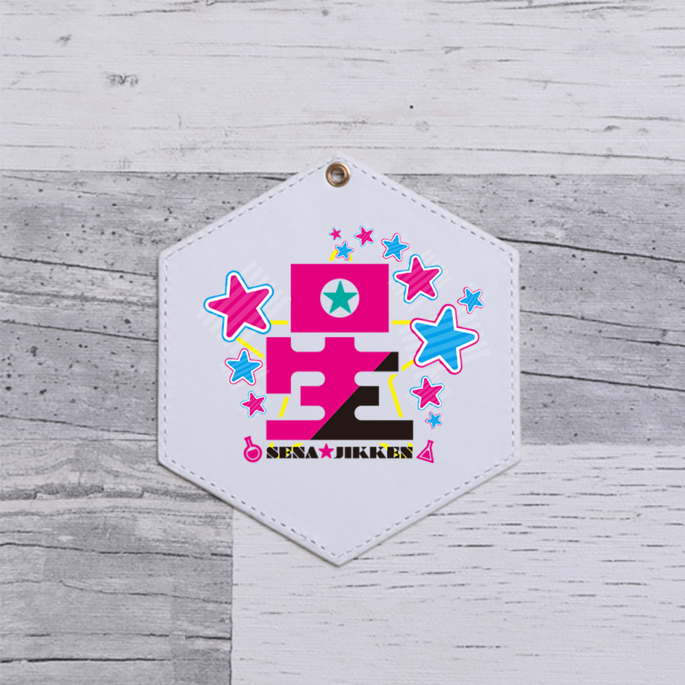 パスケース/六角形