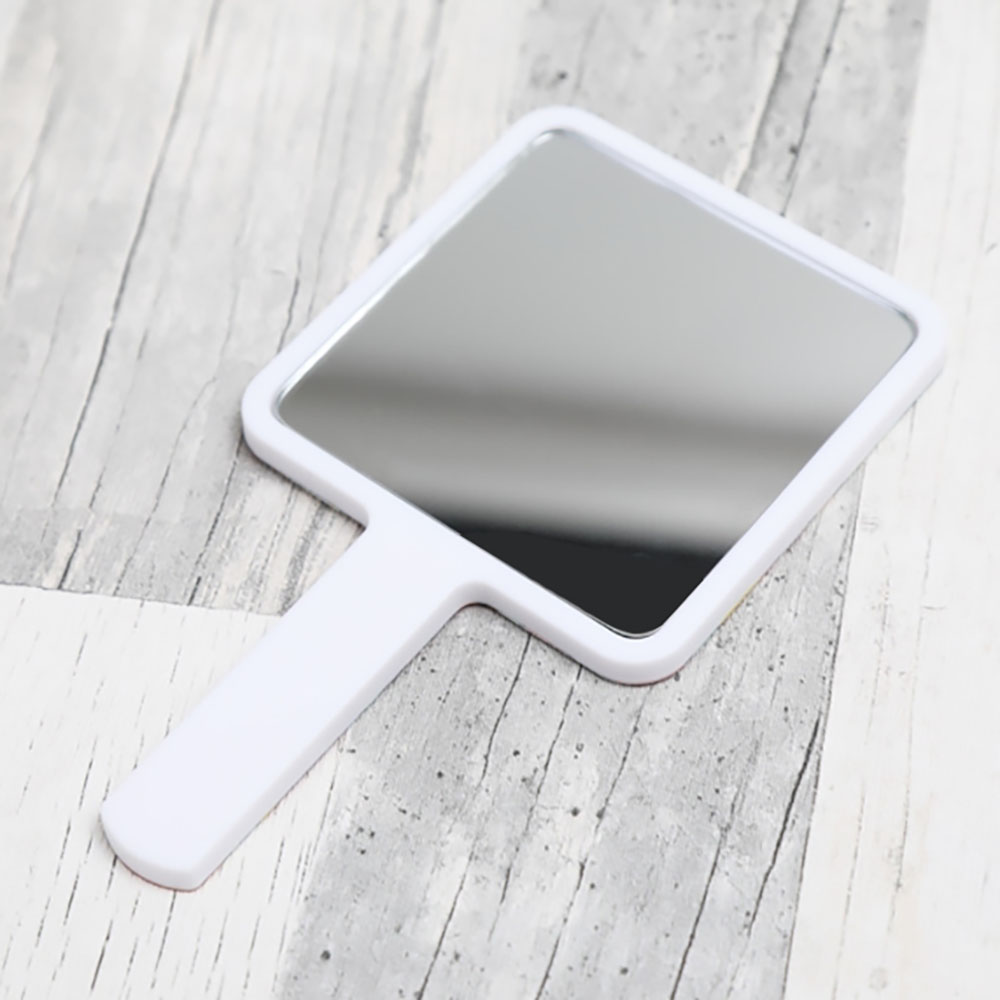 手持ちプラミラー②